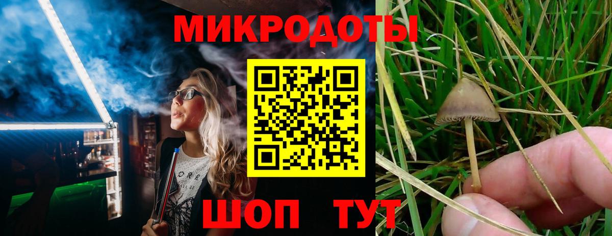 Псилоцибиновые грибы GOLDEN TEACHER  Вход с VPN  купить наркотик  Борисоглебск 